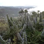 Dom wakacyjny Tenteniguada Enjoy Nature