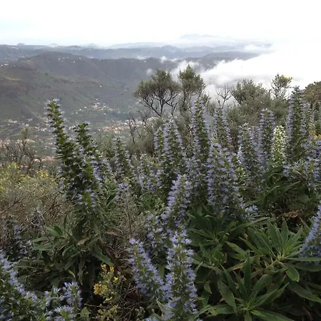 Holiday home Tenteniguada Enjoy Nature