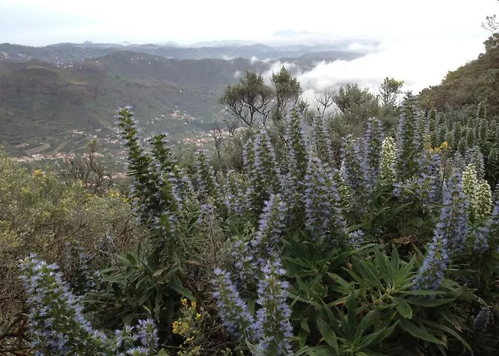 بيت للعطل Tenteniguada Enjoy Nature